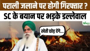 पराली जलाने पर सुप्रीम कोर्ट के फैसले से नाखुश किसान नेता डल्लेवाल, कहा- किसानों की गिरफ्तारी उचित नहीं