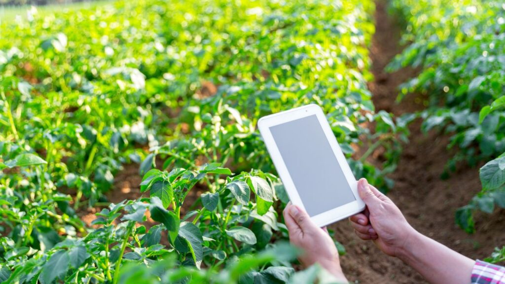 Digital Farming: डिजिटल फार्मिंग, जिसे स्मार्ट फार्मिंग या ई-एग्रीकल्चर भी कहा जाता है, खेती में डिजिटल तकनीकों का इस्तेमाल करके उत्पादन और प्रबंधन को बेहतर बनाने की आधुनिक प्रक्रिया है. सेंसर, ड्रोन, GPS मैपिंग और सैटेलाइट इमेजरी से किसान खेत की पूरी जानकारी रियल टाइम में हासिल कर सकते हैं. 