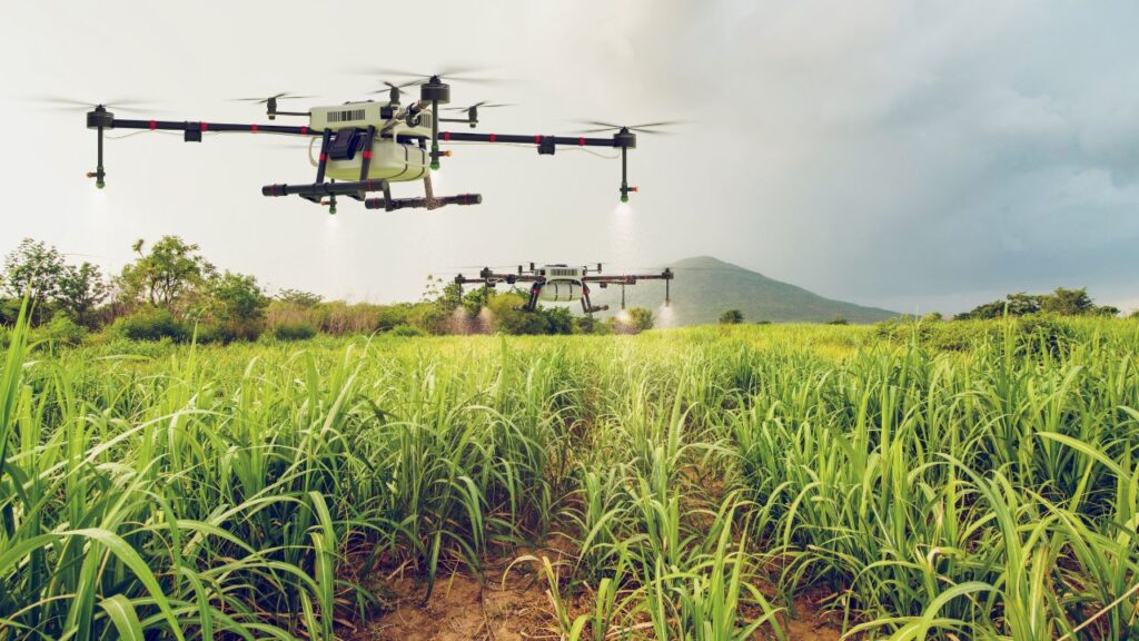 Drone Farming Kaise Hoti Hai: ड्रोन खेत का 3D नक्शा तैयार करता है और मिट्टी की नमी, जल निकासी और सिंचाई की जरूरत का आकलन करता है, जिससे खेती और अधिक वैज्ञानिक बनती है. Drone Farming Kaise Hoti Hai: ड्रोन खेत का 3D नक्शा तैयार करता है और मिट्टी की नमी, जल निकासी और सिंचाई की जरूरत का आकलन करता है, जिससे खेती और अधिक वैज्ञानिक बनती है.