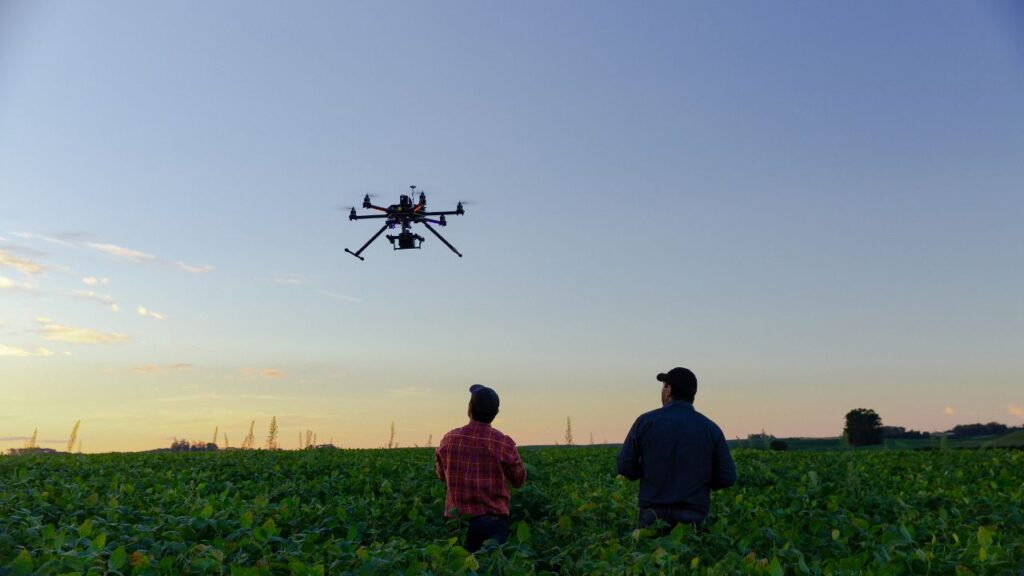 Benefits Of Drone Farming: ड्रोन से पौधों की स्थिति, रोग, कीट या पोषण की कमी जल्दी और सटीक तरीके से पता लगाई जा सकती है, जिससे फसल का नुकसान कम होता है. Benefits Of Drone Farming: ड्रोन से पौधों की स्थिति, रोग, कीट या पोषण की कमी जल्दी और सटीक तरीके से पता लगाई जा सकती है, जिससे फसल का नुकसान कम होता है.