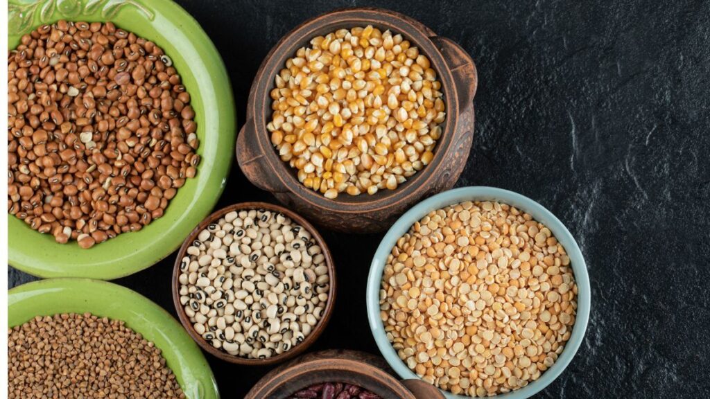 National Seeds Corporation (NSC)