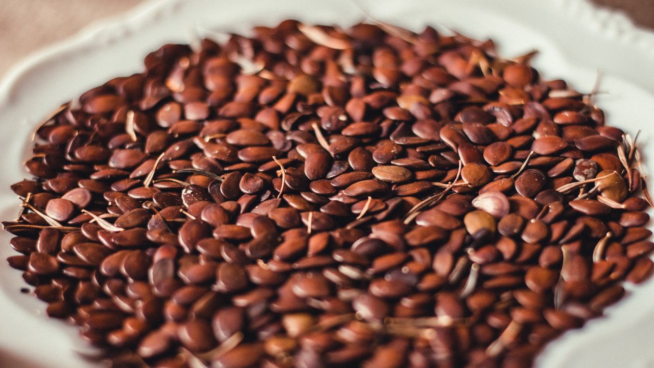 तिलहन किसानों को मुफ्त बीज दे रही सरकार, पाने के लिए 12 अक्टूबर तक कर सकते हैं आवेदन