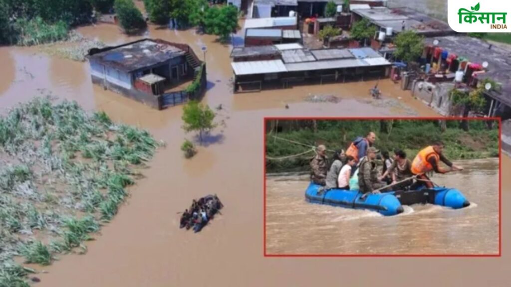 बाढ़ की चपेट में आने से बड़े पैमाने पर पंजाब के किसानों को नुकसान हुआ है. बता दें कि, करीब 61 हजार हेक्टेयर कृषि जमीन पानी में डूब गई है. गन्ना, कपास, धान और मक्का जैसी फसलें पूरी तरह से जलमग्न होकर बर्बाद हो चुकी हैं. 