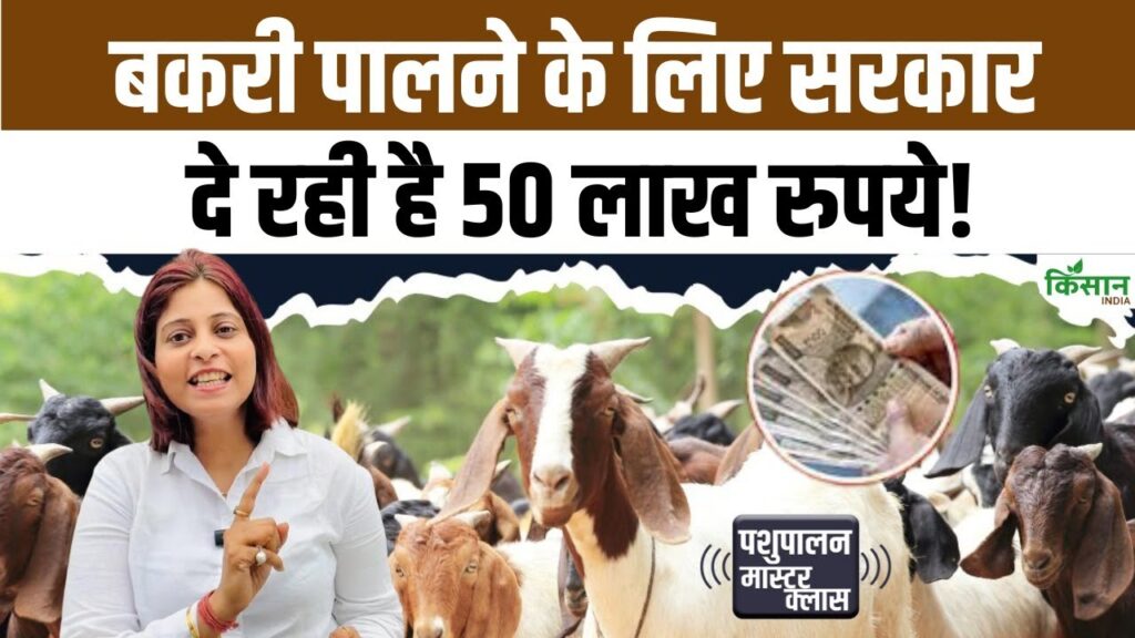 Animal Husbandry