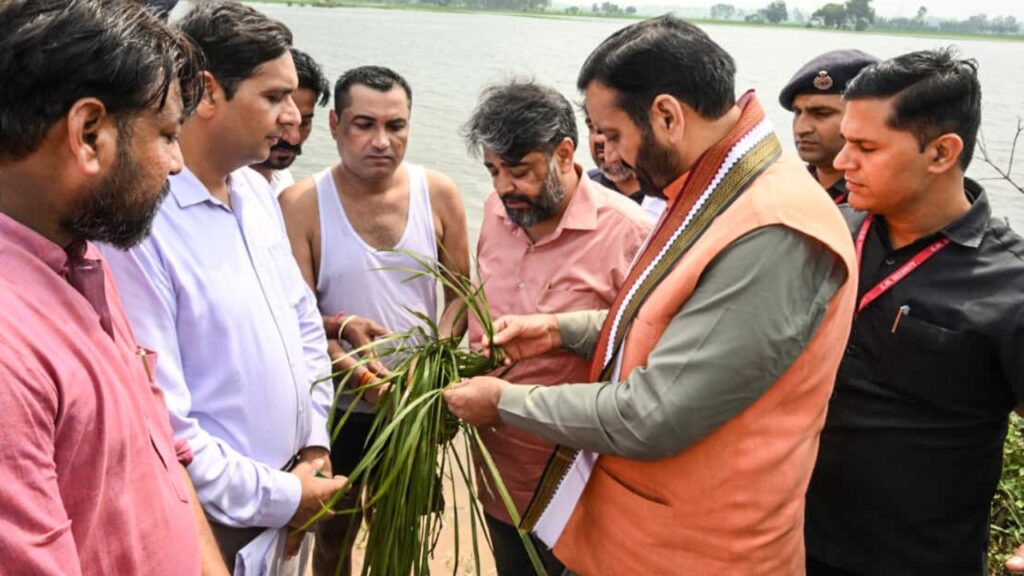Haryana Farmers crop loss in flood