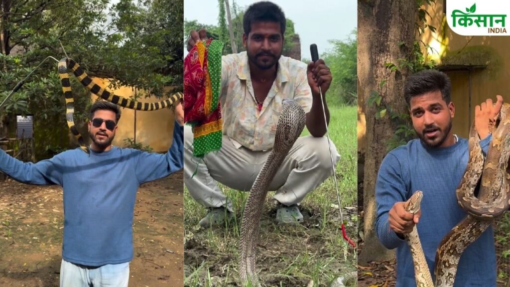 Snake Rescue