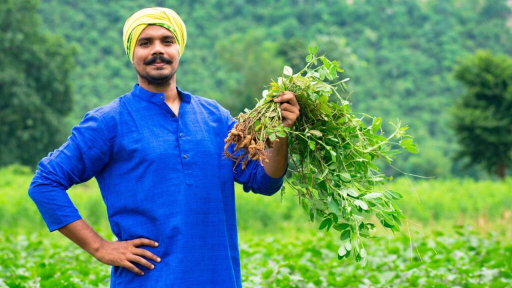 Horticulture Farming Schemes