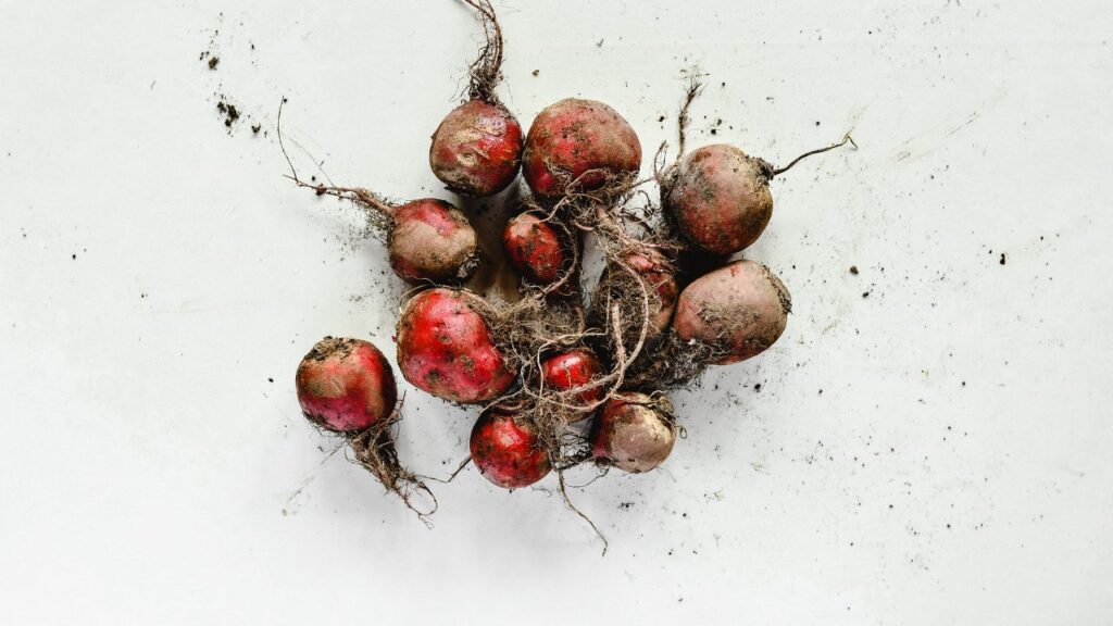 बीजों को 8-10 घंटे पानी में भिगोकर रखें. मिट्टी में 1 इंच गहरे गड्ढे बनाकर 2-3 बीज डालें और हल्की मिट्टी से ढक दें. गड्ढों के बीच 3-4 इंच की दूरी रखें.