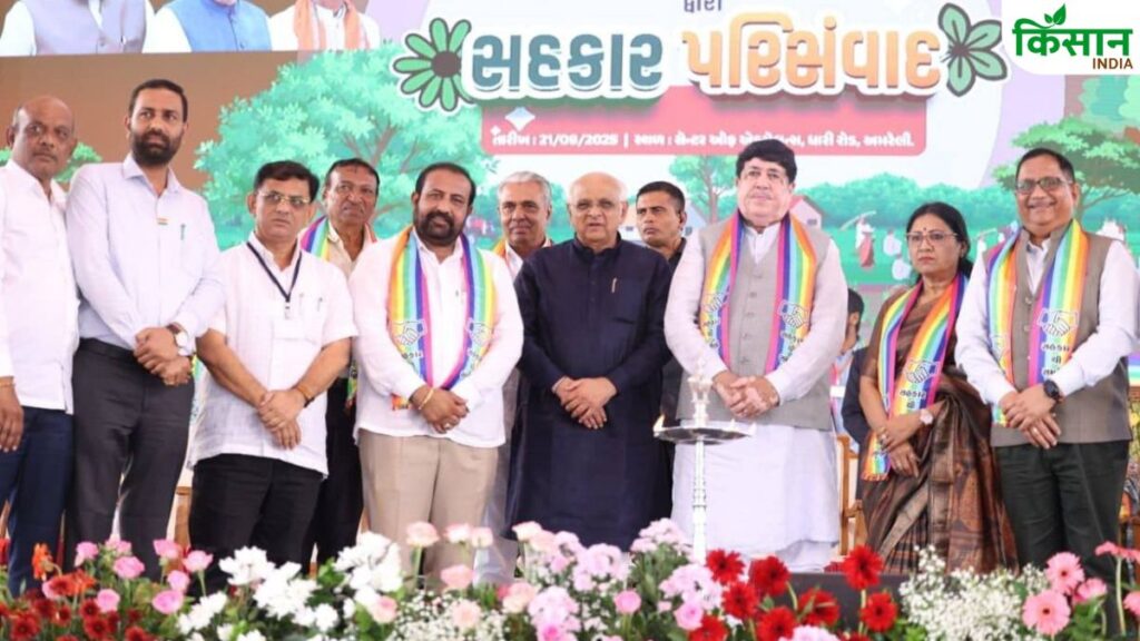 IFFCO Chairman Dilip Sanghani