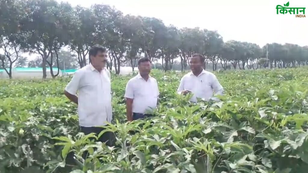 Uttar Pradesh News