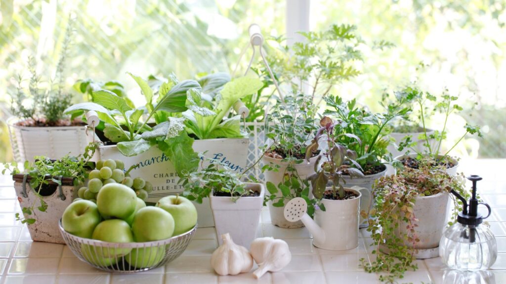 बरसात के मौसम में पौधों की शाखाएं अनियंत्रित बढ़ जाती हैं या कुछ शाखाएं सूख जाती हैं. इस स्थिति में पौधों की नियमित छंटाई जरूरी है. खराब या पीली पत्तियों और शाखाओं को हटाने से पौधों की ऊर्जा नई और स्वस्थ शाखाओं को बढ़ाने में लगती है और हवा का संचार भी बेहतर होता है.