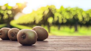 कीवी मिशन लॉन्च, किसान ने कीवी की पहली फसल से 4 लाख रुपये कमाए, सरकार बढ़ाएगी रकबा