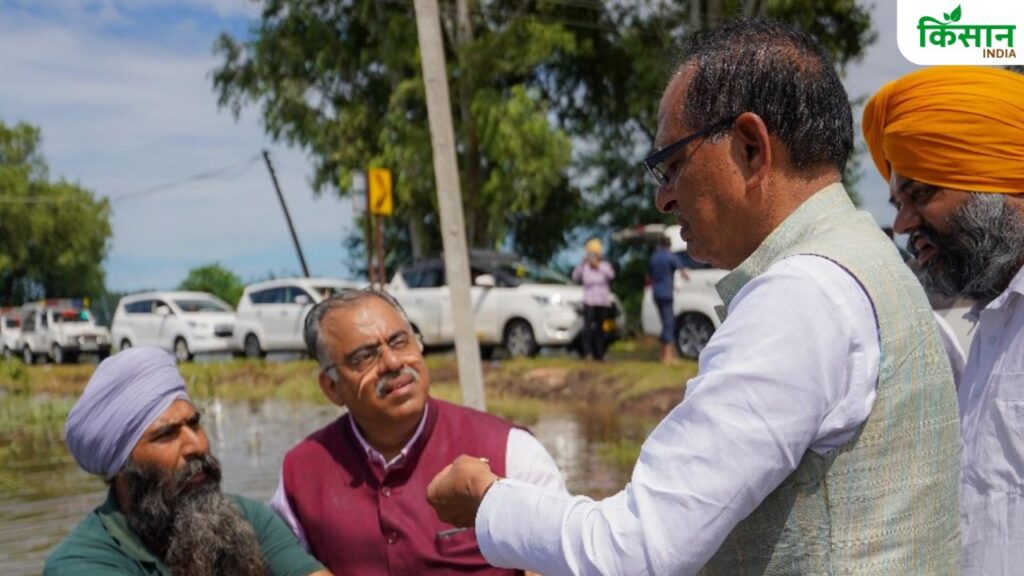 अपने पंजाब दौरे के दौरान केंद्रीय कृषि मंत्री कमर तक पानी भरे खेतों में खुद उतरे, जहां उन्होंने किसानों की बर्बाद हुई फसलों का निरीक्षण किया. उन्होंने कहा कि सारी की सारी फसलें बाढ़ की चपेट में आकर नष्ट हो गई हैं. 