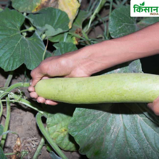 Agriculture News