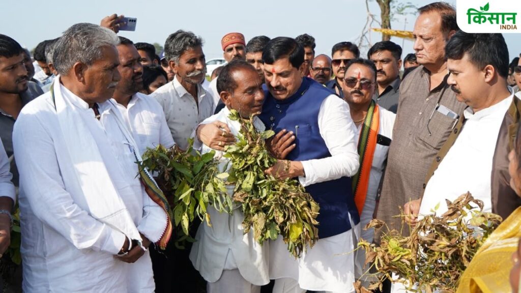 Madhya Pradesh News
