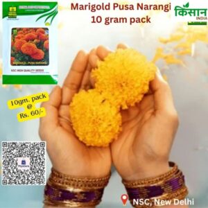 National Seeds Corporation