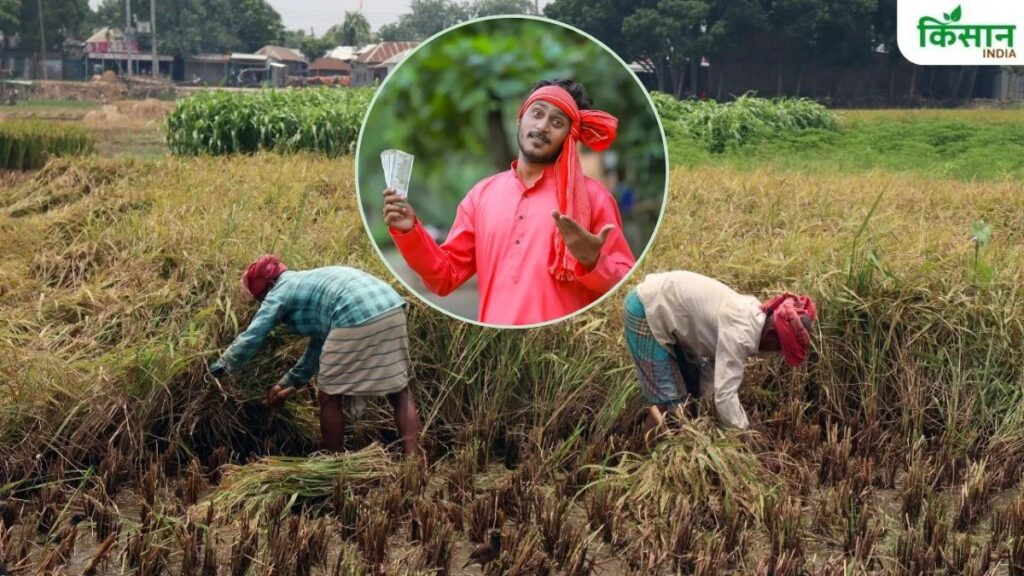 Market Place Pilot Project