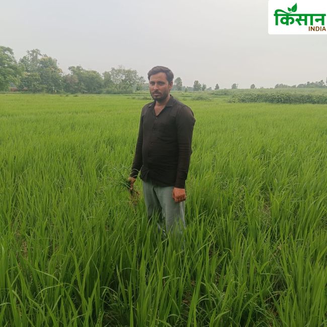 Success Farmer