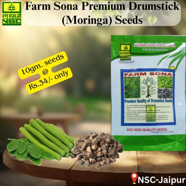National Seed Coarporation