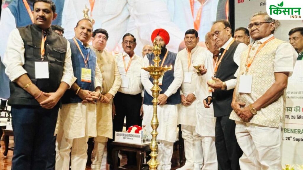 NAFED net profit increased