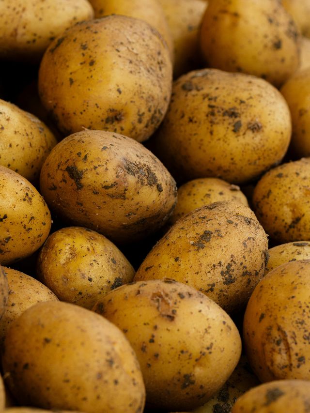 Organic के नाम पर केमिकल वाला आलू तो नहीं खा रहे आप?