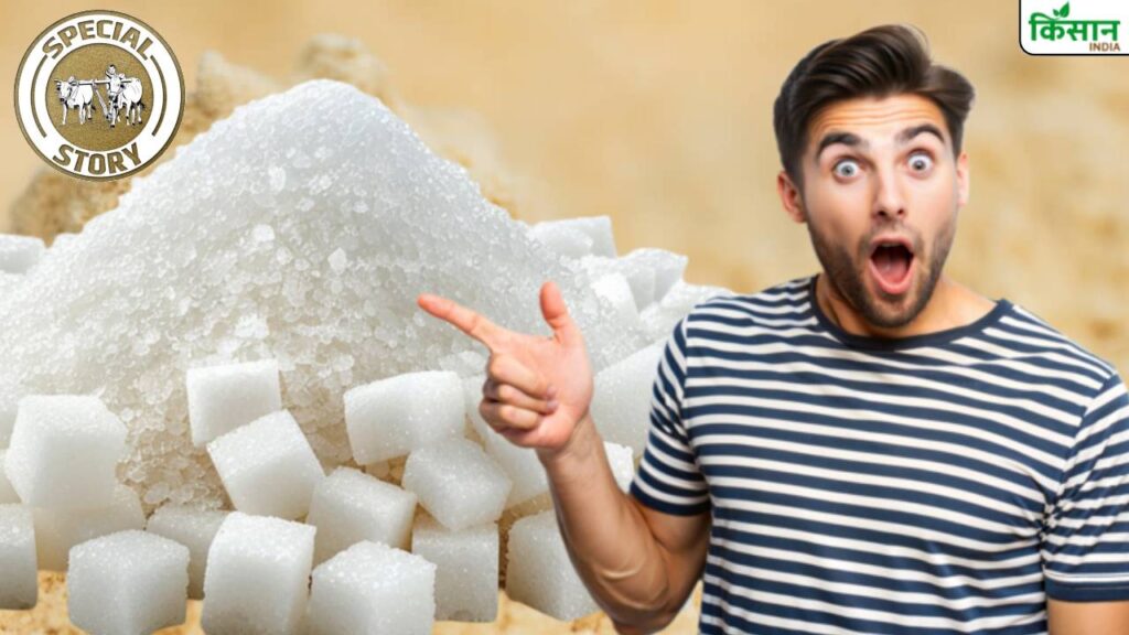 is-sugar-vegetarian-or-non-vegetarian-truth-about-bone-char-refined-sugar