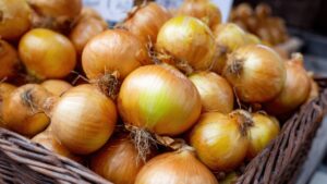 Mandi Bhav: प्याज की कीमत में जबरदस्त उछाल, 1000 रुपये क्विंटल बढ़ा रेट.. किसान खुश