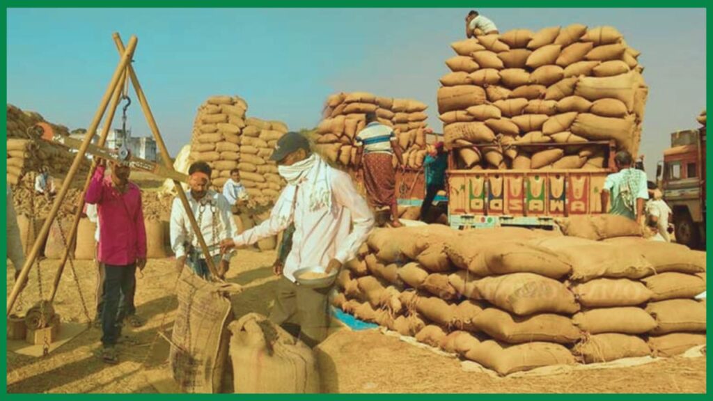 Paddy procurement date 16 sep in punjab