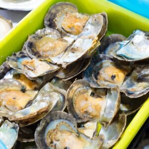 Pearl Farming
