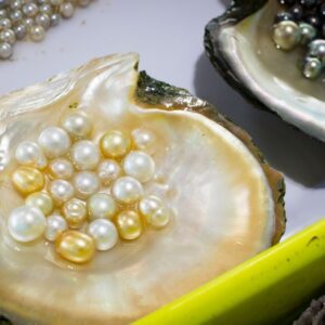 Pearl Farming