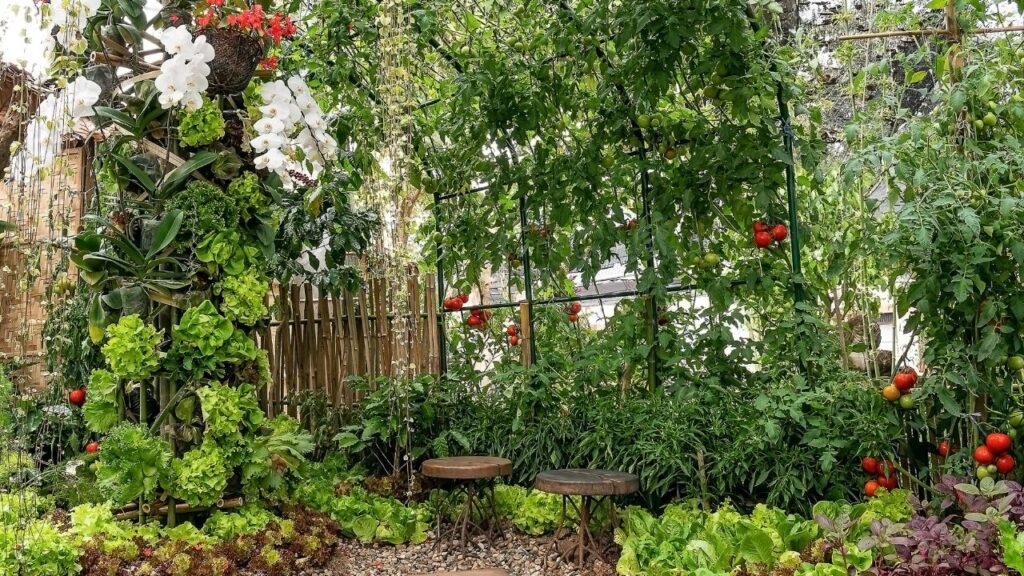 बारिश में मिट्टी से जरूरी पोषक तत्व बह जाते हैं, जिससे पौधों को पर्याप्त पोषण नहीं मिलता. बरसात के बाद महीने में एक बार गोबर की खाद, वर्मी कम्पोस्ट या कम्पोस्ट चाय का इस्तेमाल करें. इससे पौधों की जड़ें मजबूत होंगी और उनकी वृद्धि तेजी से होगी.