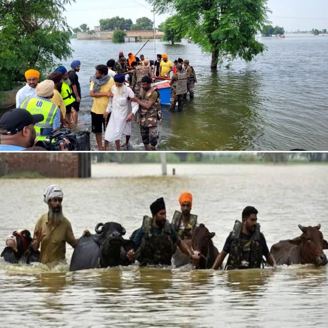 Punjab Flood Crisis