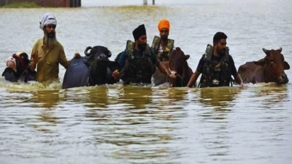 बुजुर्गों का कहना है कि कि यह बाढ़ उन्हें 1988 की याद दिला रही है, लेकिन इस बार पानी का बहाव और तबाही उससे भी ज्यादा खतरनाक नजर आ रही है. आपको बता दें 1988 में 600 से अधिक मौतें हुई थीं और 10 लाख लोग बेघर हो गए थे.