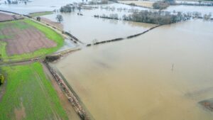 बाढ़ग्रस्त पंजाब में कैसे सुधरेगी मिट्टी और खेती की हालत, कृषि एक्सपर्ट, किसान संगठनों ने बताया अचूक उपाय