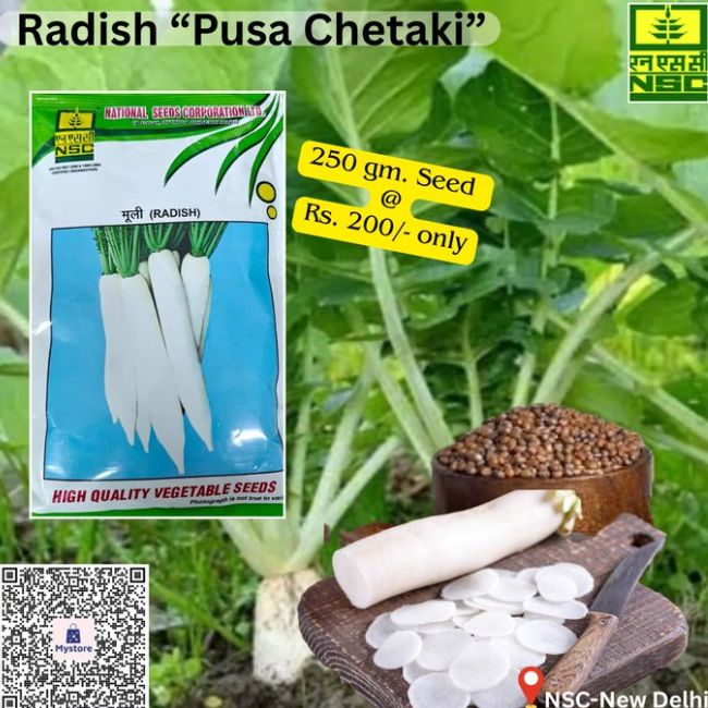 National Seed Corporation