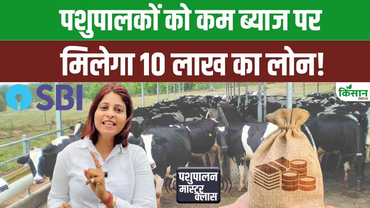 पशुपालकों के लिए राहत की खबर, SBI से कम ब्याज पर मिलेगा 10 लाख तक लोन पशुपालकों के लिए राहत की खबर, SBI से कम ब्याज पर मिलेगा 10 लाख तक लोन