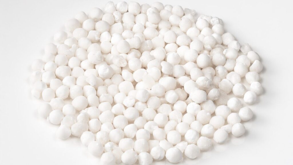 How Is Sabudana Made: कसावा पौधे की जड़ें 8 से 24 महीनों में पूरी तरह तैयार हो जाती हैं. इन्हें काटकर सबसे पहले अच्छी तरह साफ किया जाता है ताकि मिट्टी, धूल और अशुद्धियां पूरी तरह निकल जाएं. How Is Sabudana Made: कसावा पौधे की जड़ें 8 से 24 महीनों में पूरी तरह तैयार हो जाती हैं. इन्हें काटकर सबसे पहले अच्छी तरह साफ किया जाता है ताकि मिट्टी, धूल और अशुद्धियां पूरी तरह निकल जाएं.