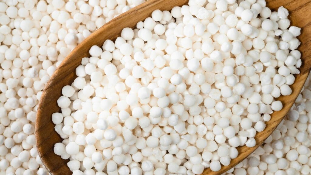 Sabudana Making Process: साफ की गई जड़ों को मशीनों से पीसकर गूदा बनाया जाता है. इस गूदे में स्टार्च और पानी का मिश्रण होता है, जो साबूदाने के निर्माण की मुख्य सामग्री है. Sabudana Making Process: साफ की गई जड़ों को मशीनों से पीसकर गूदा बनाया जाता है. इस गूदे में स्टार्च और पानी का मिश्रण होता है, जो साबूदाने के निर्माण की मुख्य सामग्री है.