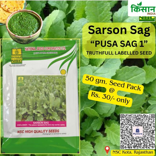 National Seed Corporation