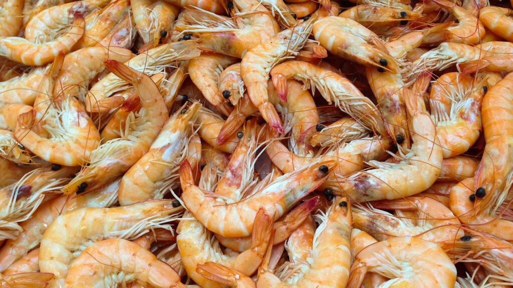 India’s Shrimp Industry Appeals to PM to Boost Domestic Consumption