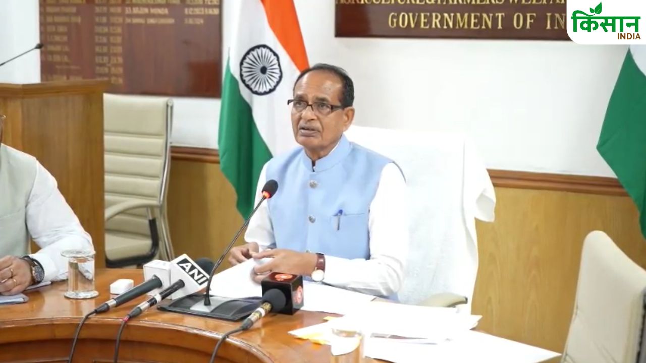 कीवी, ऑर्किड से कमाई करेंगे किसान, सिक्किम को बागवानी हब बनाने की तैयारी में केंद्र सरकार कीवी, ऑर्किड से कमाई करेंगे किसान, सिक्किम को बागवानी हब बनाने की तैयारी में केंद्र सरकार