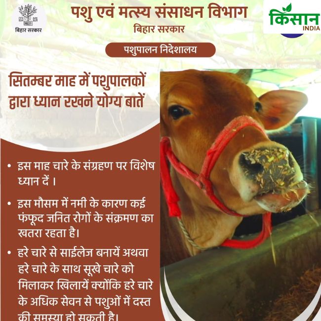 Bihar News