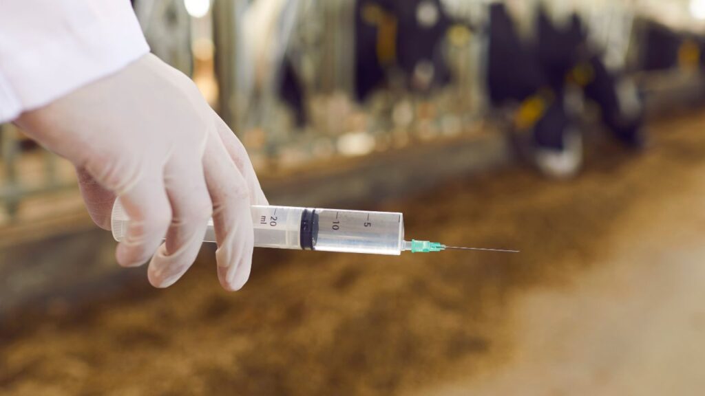 Artificial Insemination