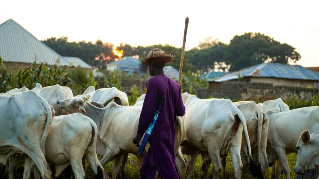 Cattle Disease