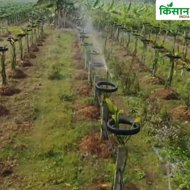 Modern Irrigation System