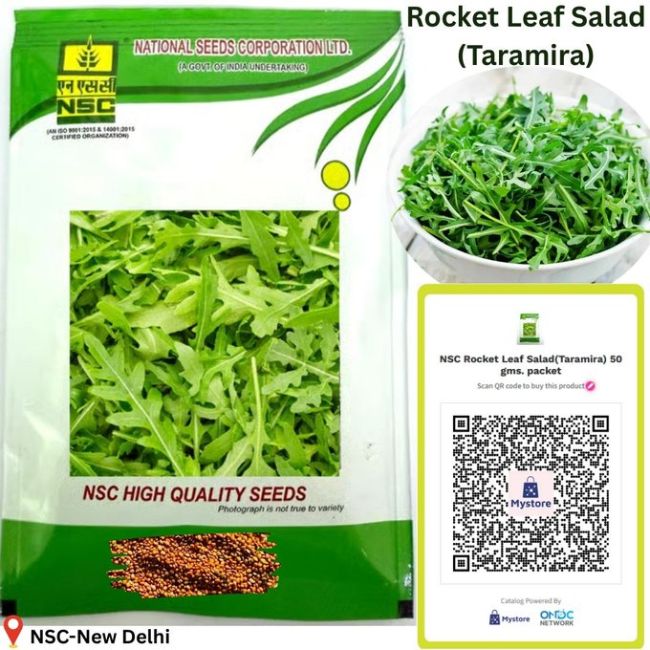 National Seed Corporation
