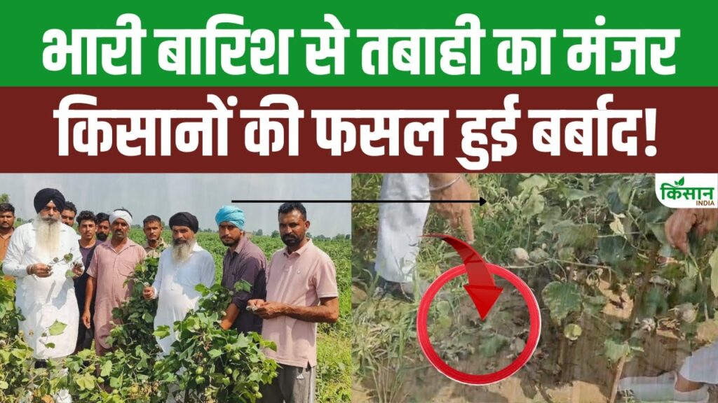 Haryana News
