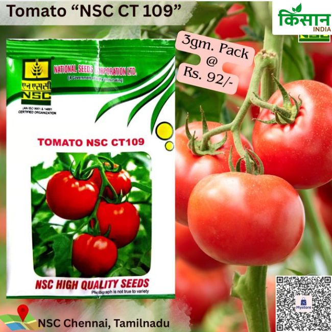 National Seeds Corporation