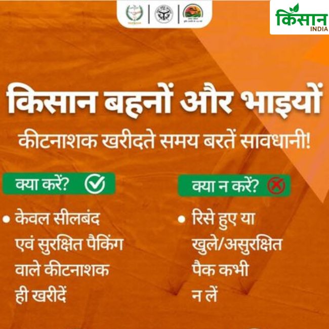 Uttar Pradesh News
