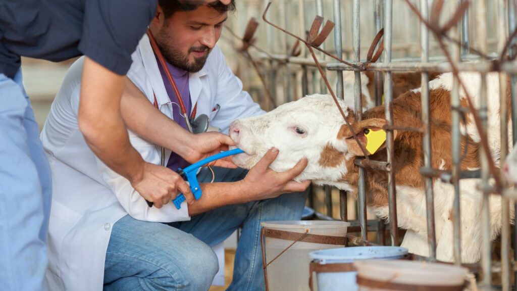 Animal Health